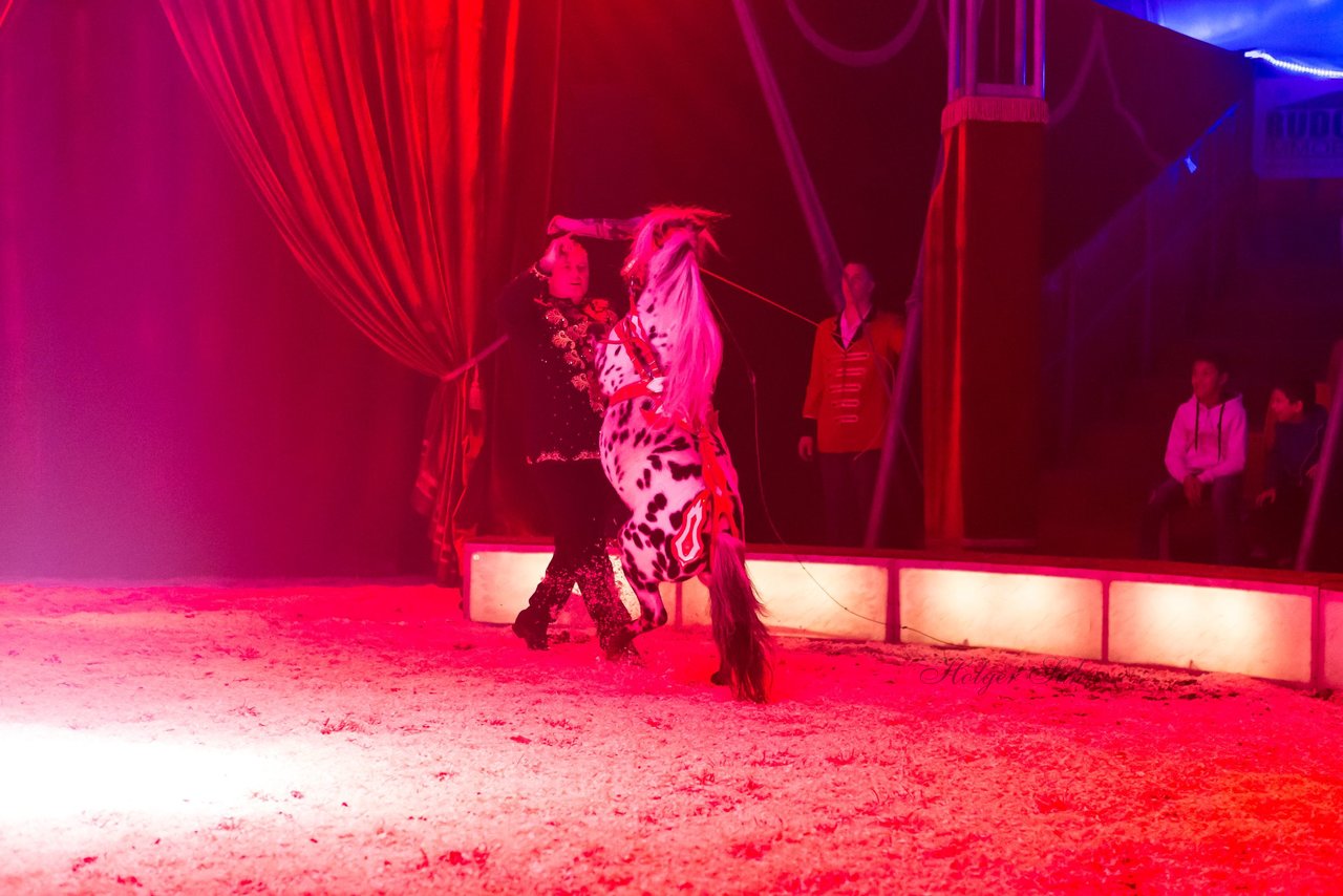 Bild 95 - Circus Europa
